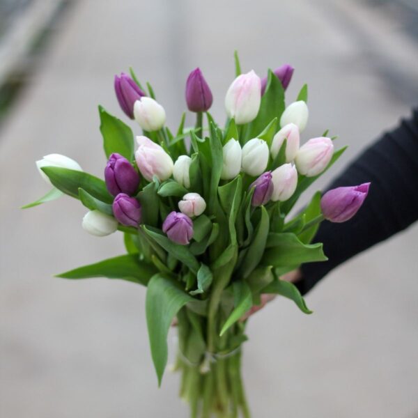 gemengde pastel tulpen small