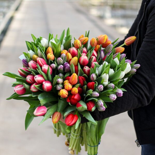 gemengde tulpen xl