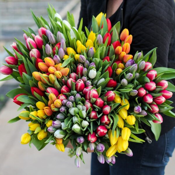 gemengde tulpen xxl