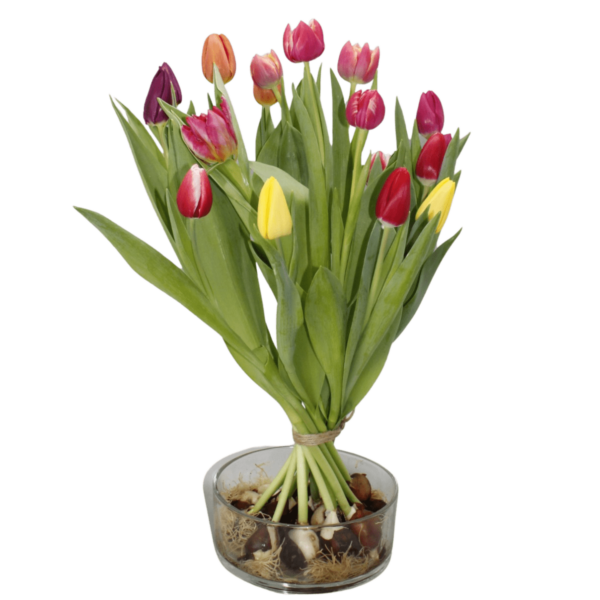 gemengde tulpenschoof