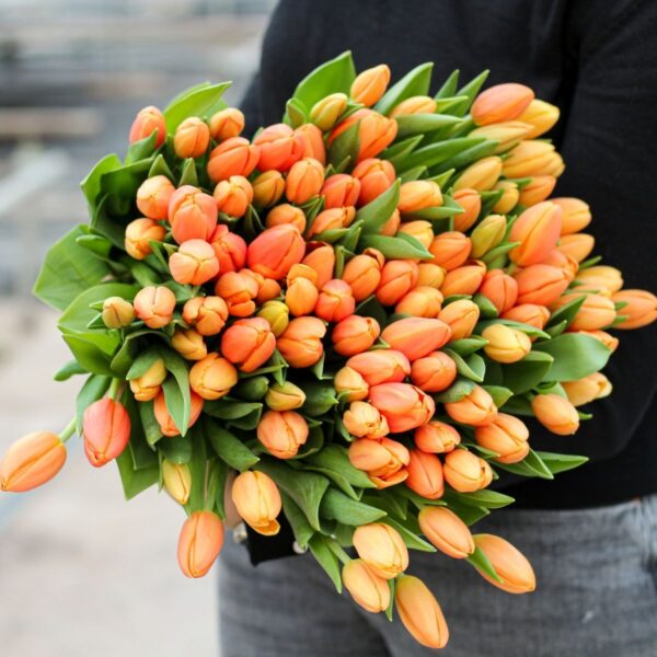 oranje tulpen xl