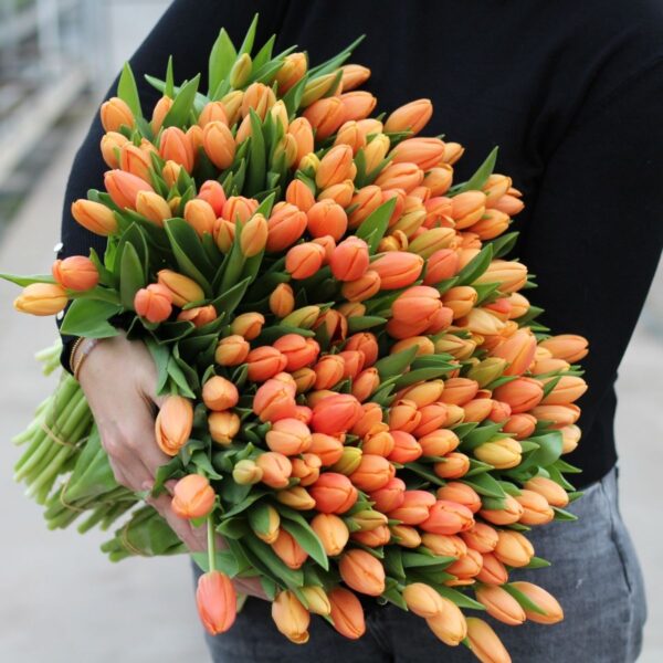 oranje tulpen xxl