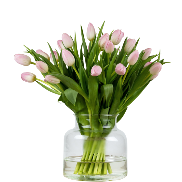 roze tulpen