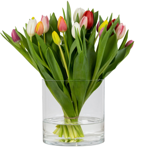 tulpenvaas mila