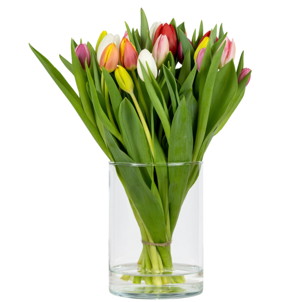 tulpenvaas sofie