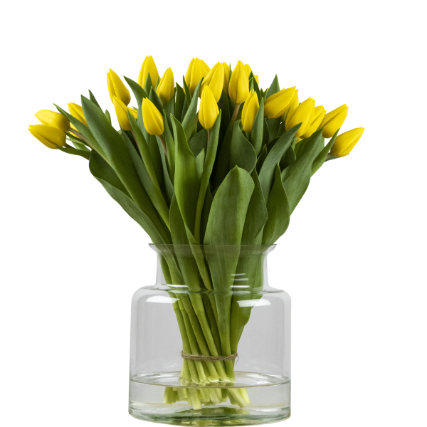 gele tulpen