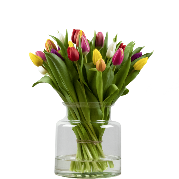 gemengde tulpen