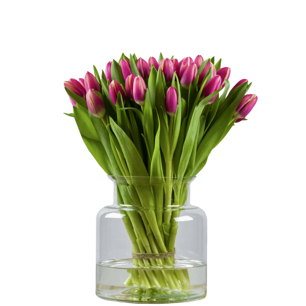 multicolour vrolijk tulpen