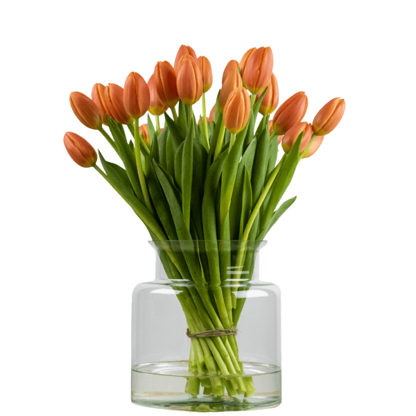 oranje tulpen