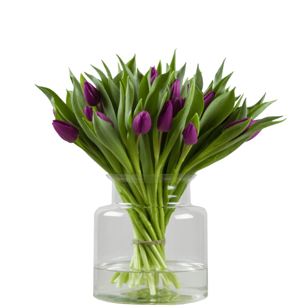 paarse tulpen